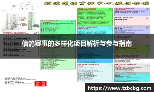 米乐yy易游体育