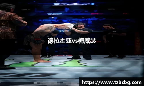 德拉霍亚vs梅威瑟