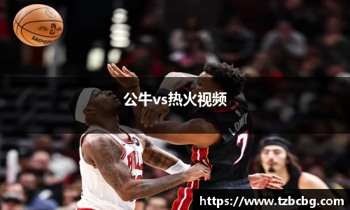 公牛vs热火视频