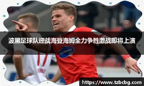 波黑足球队迎战海登海姆全力争胜激战即将上演