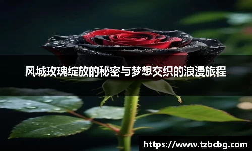 风城玫瑰绽放的秘密与梦想交织的浪漫旅程